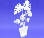 Monstera plant 12", white