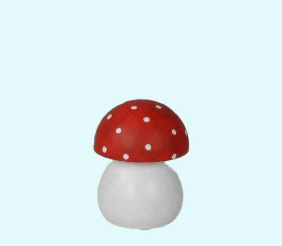 Mushroom