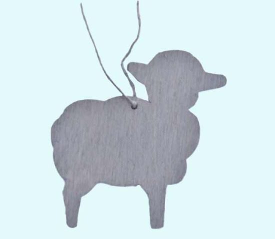 Sheep, grey