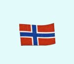 Magnet, Norwegian flag