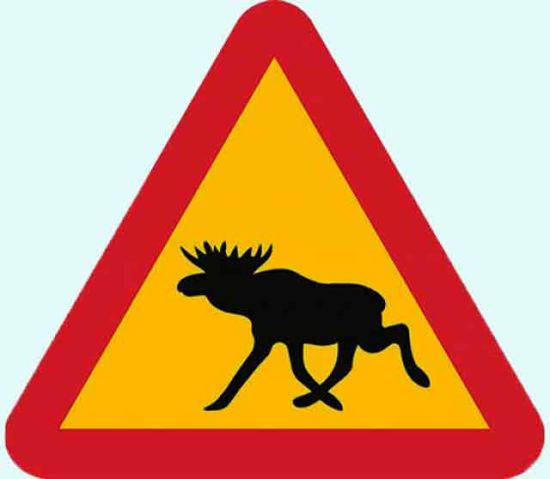 Trivet, moose crossing