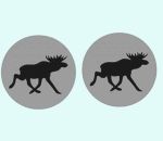 Coaster set of 6, moose