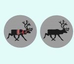 Coaster set of 6, reindeer