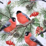 Napkin L, bullfinch in pinetree