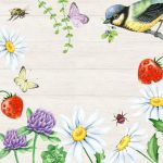 Napkin L, great tit & summer flowers