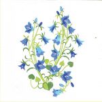 Napkin L, bluebell