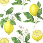 Napkin L, lemon