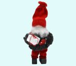 Tomte w/legs & package