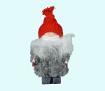 Tomte kid