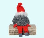 Tomte sitting