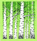 Dishcloth, birch trees w/ green leaves