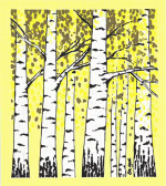 Dishcloth, birch trees, yellow