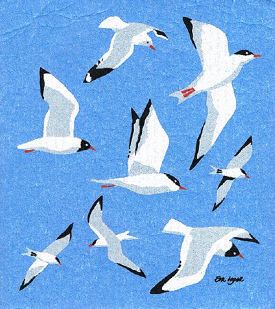 Dishcloth, gulls