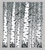 Dishcloth, birch trees grey