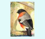 Card w/ env, bullfinch